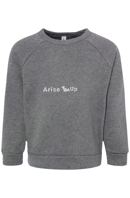 Toddler Raglan Sweatshirt